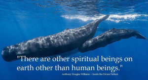 There Are Other Spiritual Beings…