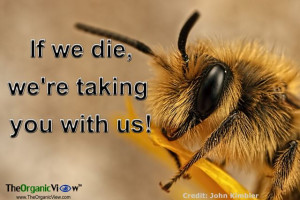 If we die, we're taking you with us! #bees #neonicotinoids #pesticides