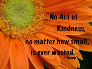 No act of kindness, no matter how small, is ever wasted. – Aesop