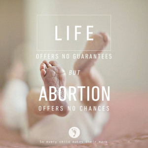 life-offers-no-guarantees-but-abortion-offers-no-chances.jpg