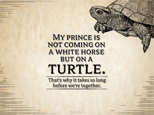 ... but on a turtle. thats why it takes so long before we’re together