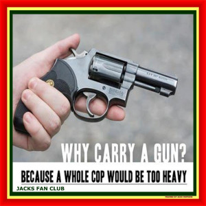 Guns and Gun Control 101 For Dummies (41 pics for easy understanding)