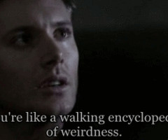 Favorite quote from Supernatural Season 2 as of now. #GIFs on Twitpic
