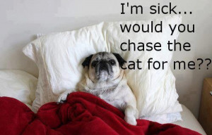 Funny Facebook Quotes about being sick