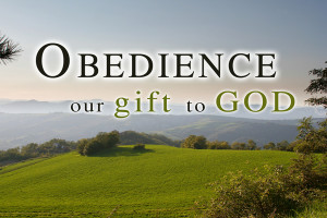 Is Obedience Optional?