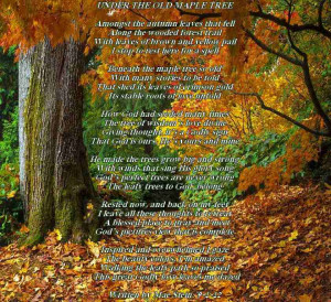 UNDER THE OLD MAPLE TREE