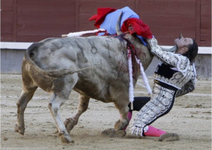 Sometimes the Bull Wins. But, Good News! The matador, he will live!