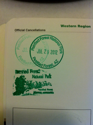 Day 7 - The Petrified Forest - 10,000 Waves - Santa Fe, NM