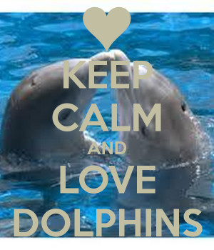 ... calm and love dolphins 31 keep calm and love dolphins logo picrures