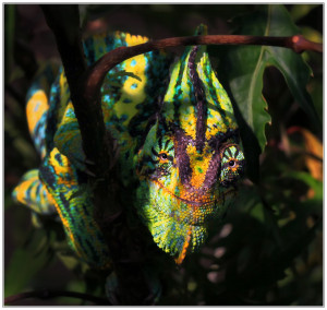 SIGN UP FOR THE NEW UBERHUMOR NEWSLETTER