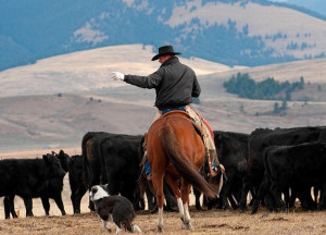 As a courtesy, to quickly see the front cover picture of LeAnn ...