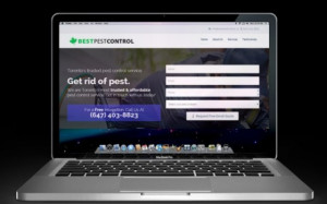 Best Pest Control Best Pest Control Landing Page View Project Buddy ...