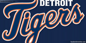 Tiger Twitter Header Headers