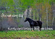 ... Quotes Prints - SPRING PASTURE quote Print by JAMART Photography