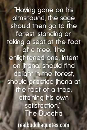 The Buddha. (Source: Nalaka Sutta , Sutta Nipata .)