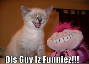 animal with captions, caption animals, lol animals, lolcats, funny ...