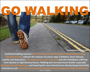 Go Walking