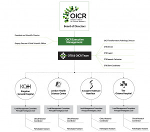 product development org chart