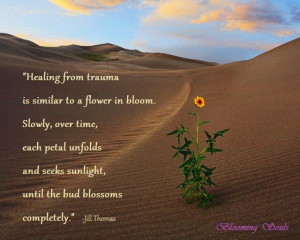 Healing Desert Flower