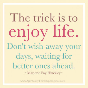 Amusing Quotes About Enjoying Life: The Trick Is To Enjoy The Life ...