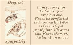 Sympathy Quotes | Sympathy For The Loss Of Your Pet Image | Sympathy ...