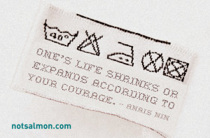 Love this Anais Nin quote... , One's life shrinks or expands according ...