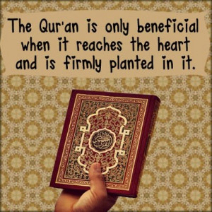 quran quotes Quotes From The Quran