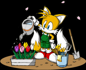 Sonic Tails Fanon Wiki The...