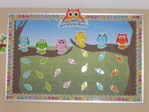 Owl Bulletin Board Ideas