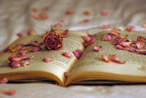 beautiful, book, creative, lol, roses, want