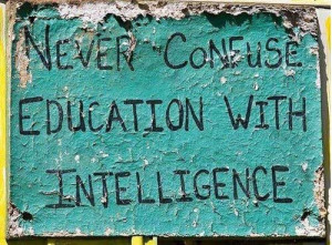 Having Pictures Of Intelligence Quotes. QuotesGram