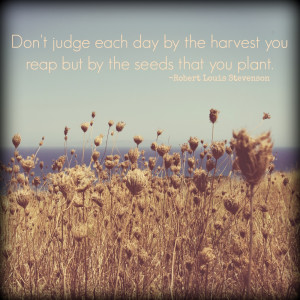 Rest In Peace Short Quotes And the rest of the week.