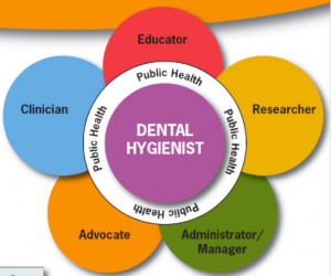 Transforming Dental Hygiene Education: guiding the redefinition of ...