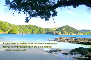 Sayings, Quotes: Orison Swett Marden