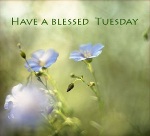 Have a blessed tuesday