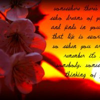 pain of missing someone quotes photo: Thinking of You flower_sunset_by ...