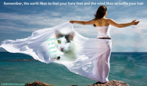 wind-quote-soul-spiritual-freedom-nature-cats