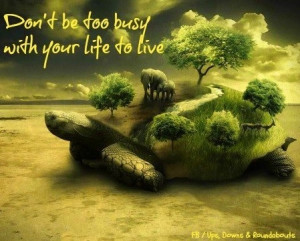Don't be too busy with your life to live quote via Ups, Downs ...