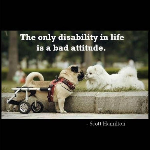 The only disability in life is a bad attitude. Inspirational quote.