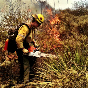 wildland firefighter working