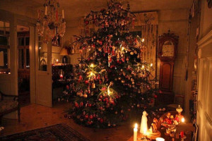 christmas trees in switzerland