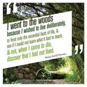 Disney into the Woods Quotes
