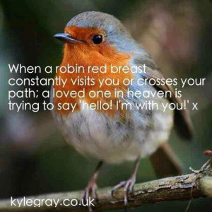 Robins