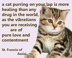 ... receiving are of pure love and contentment. - St. Francis of Assisi