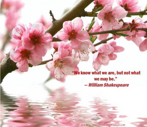 ... Quote, Possibilities, We Know What We Are, But Not What We May Be