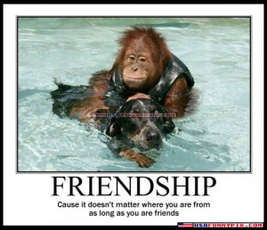 ... .com/pictures/p4/funny-monkey-and-dog-friendship-picture.jpg
