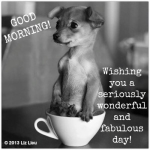 Good morning! Wishing you a seriously wonderful and fabulous day ...