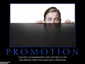 promotion-work-workplace-job-demotivational-posters-1314064193.jpg