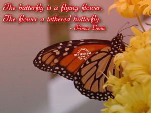 the butterfly is a flying flower the flower a tethered butterfly ponce ...