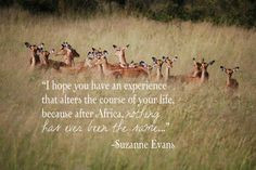 safari vacation # quotes www hillsofafrica more vacations quotes ...